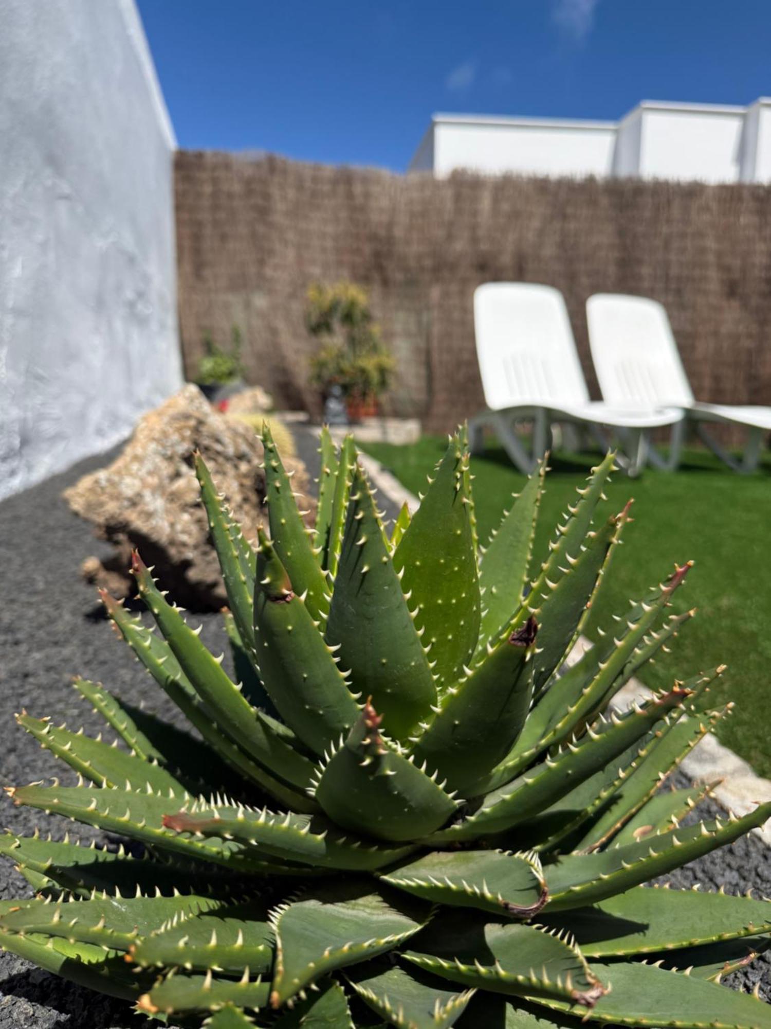 Casa Cira Lägenhet La Costa Exteriör bild